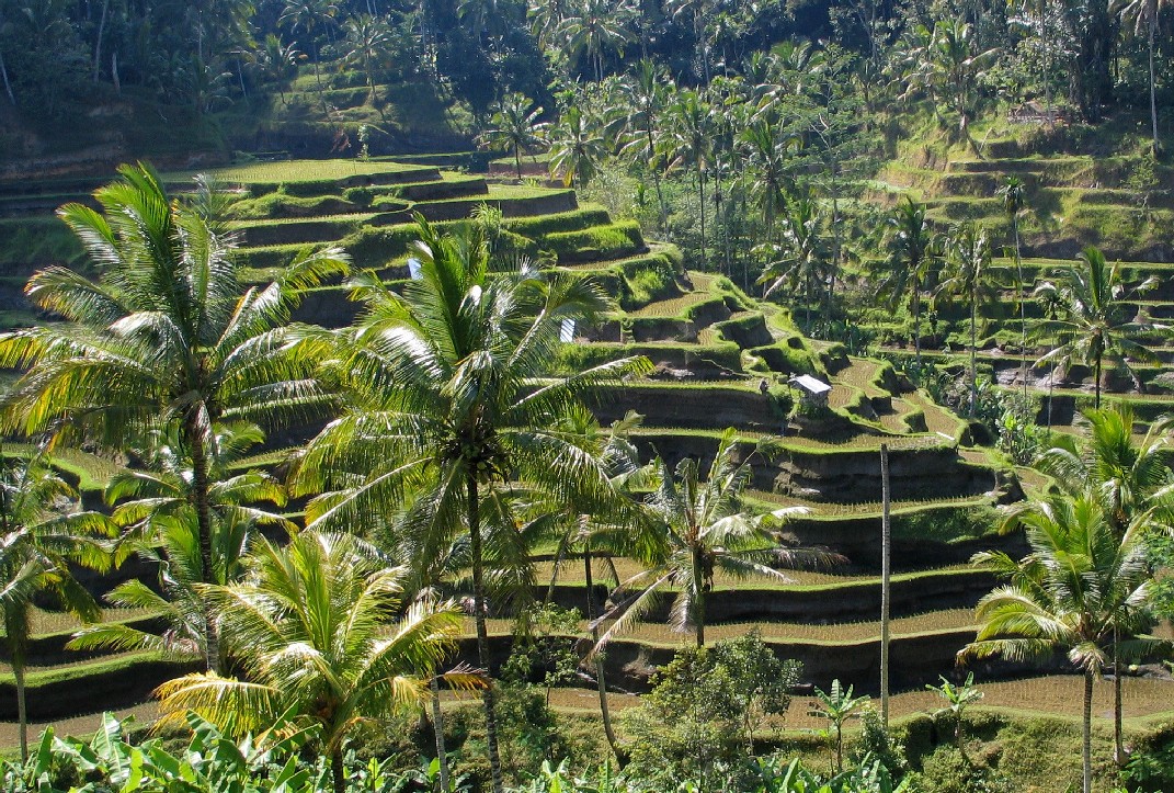 Bali halal panorama Indonésie temple